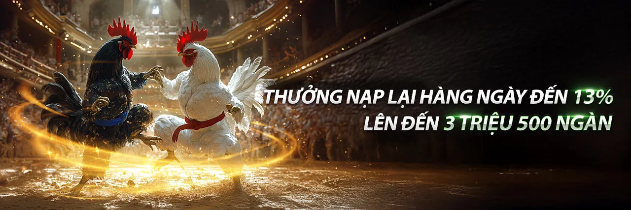 Sân đấu đá gà trực tuyến bet8888 nhà cái