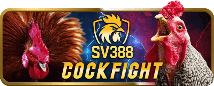 Đa dạng trò chơi cá cược tại bet8888 nhà cái bao gồm thể thao, casino, slot, bắn cá